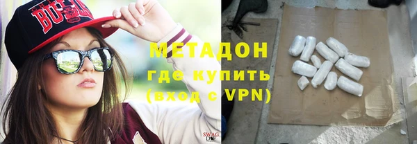 прущие грибы Алзамай