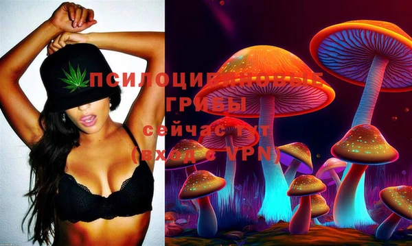 прущие грибы Алзамай