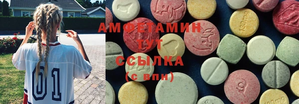 прущие грибы Алзамай