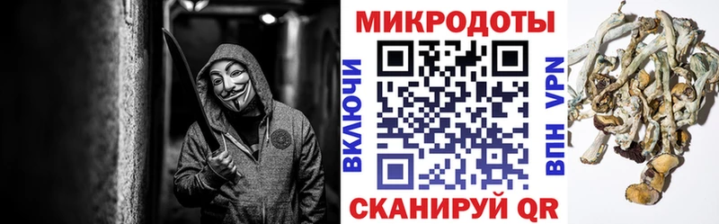 Псилоцибиновые грибы Cubensis  Россошь 