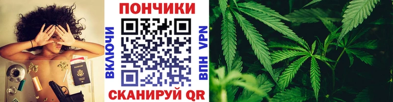 Бошки марихуана OG Kush  Россошь 